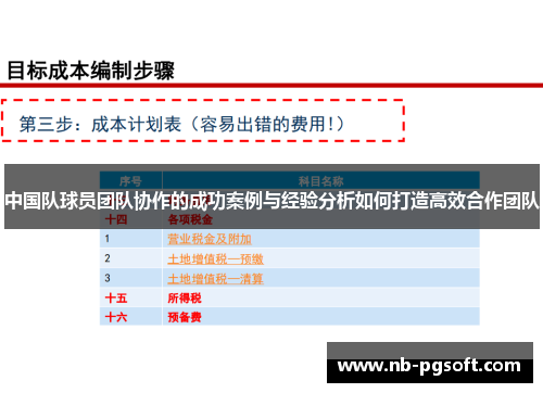 中国队球员团队协作的成功案例与经验分析如何打造高效合作团队