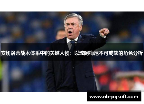 安切洛蒂战术体系中的关键人物：以琼阿梅尼不可或缺的角色分析
