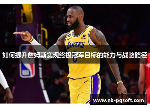 如何提升詹姆斯实现终极冠军目标的能力与战略路径