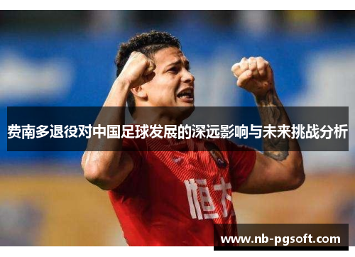 费南多退役对中国足球发展的深远影响与未来挑战分析