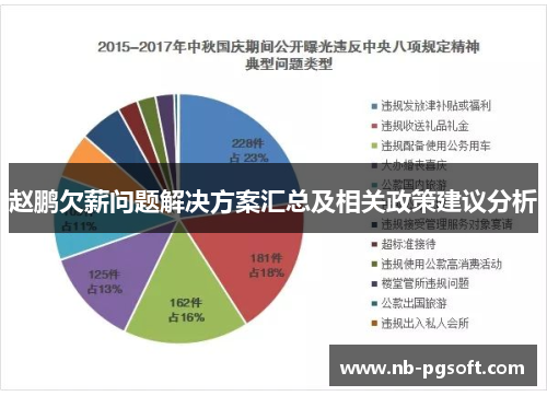 赵鹏欠薪问题解决方案汇总及相关政策建议分析