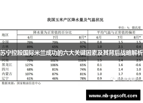 苏宁控股国际米兰成功的六大关键因素及其背后战略解析