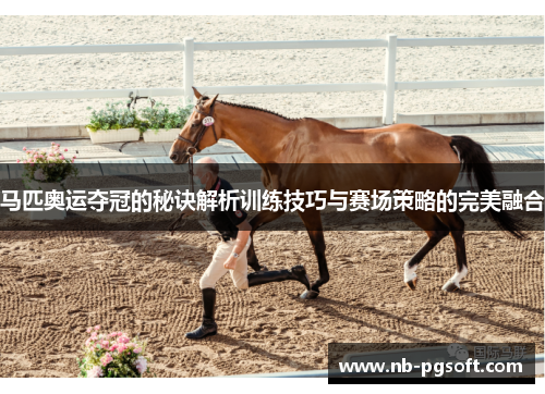 马匹奥运夺冠的秘诀解析训练技巧与赛场策略的完美融合