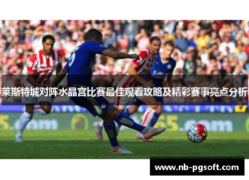 莱斯特城对阵水晶宫比赛最佳观看攻略及精彩赛事亮点分析