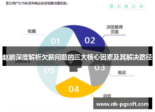 赵鹏深度解析欠薪问题的三大核心因素及其解决路径