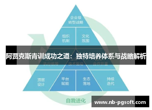 阿贾克斯青训成功之道：独特培养体系与战略解析