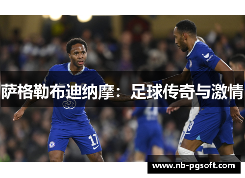 萨格勒布迪纳摩:足球传奇与激情 萨格勒布迪纳摩:足球传奇与激情