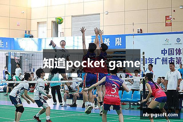 知道pocket game